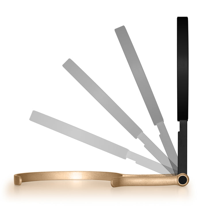 LED Lighted Travel-Ready Hand Mirror with Magnification and Multi-Position Stand